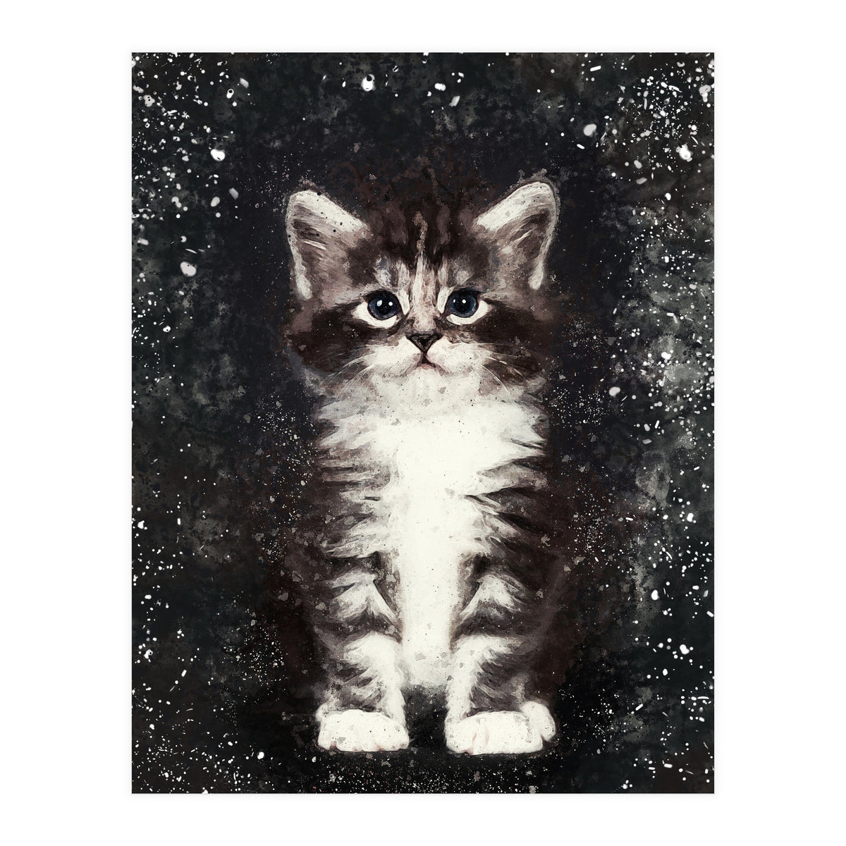 Bicolor Cute Kitten Portrait (Print Only)