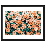 Floral Bliss, Nature Photography Garden Meadow, Blush Orange Coral Summer Flowers Botanical thumbnail