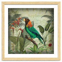 Tropical Bird Nostalgia