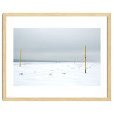 Seagulls in between the volleyball poles in winter snow beach thumbnail
