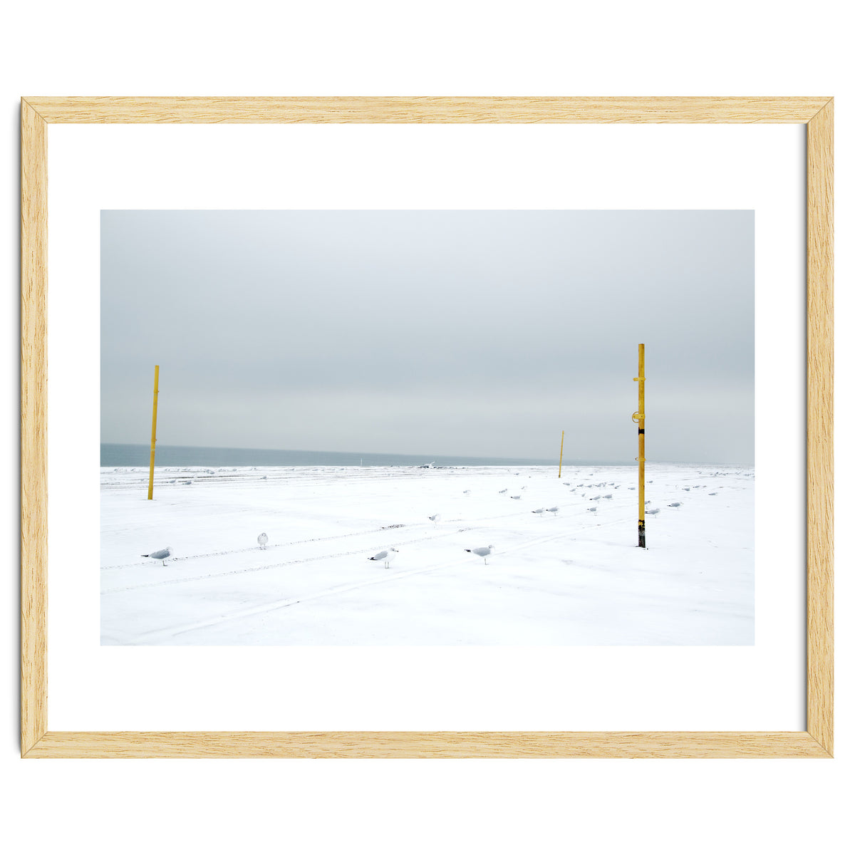 Seagulls in between the volleyball poles in winter snow beach