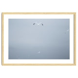 A flying seagull in the winter sky thumbnail