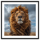 Majestic Lion Portrait Windblown Mane Outdoors thumbnail