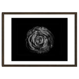Backyard Flowers In Black And White No 72 with Border thumbnail
