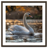 Graceful Swan Gliding On Reflective Water Surface thumbnail
