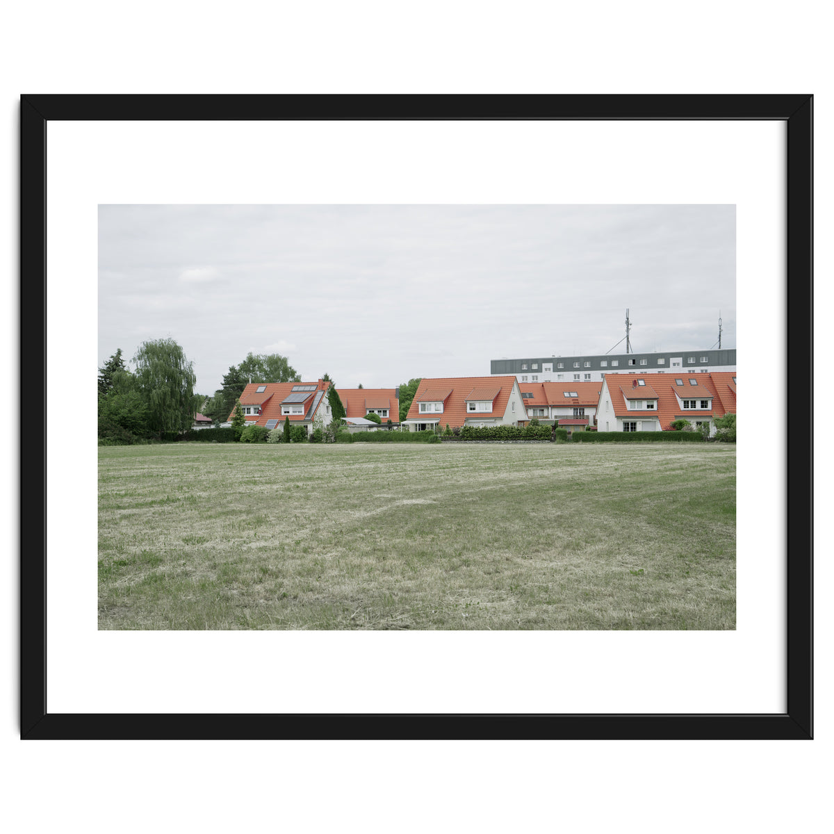 Red roof houses in the green field
