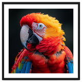 Scarlet Macaw Parrot Portrait Vivid Colors thumbnail