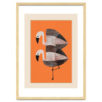 Tangerine Flamingos