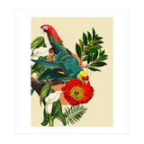 Birds Life (Print Only) thumbnail