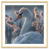 Swan Portrait Dew Drops Morning Light thumbnail