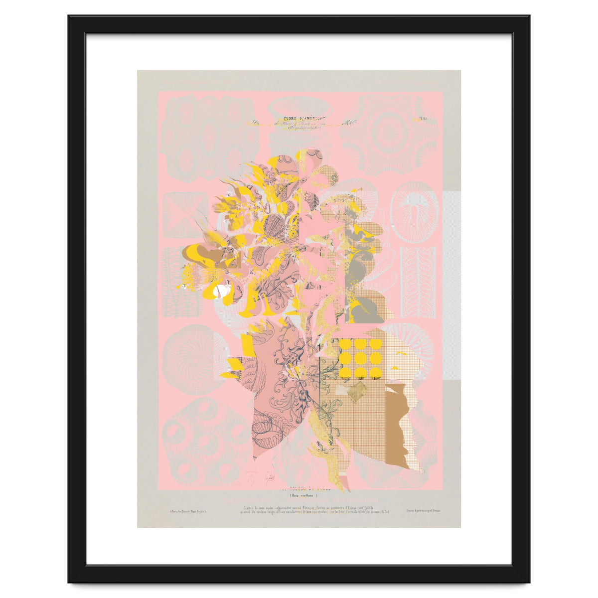 The First Plant · Tuesday Mix Mit Resten