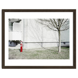 Red light pole and Tree shadow on the wall thumbnail