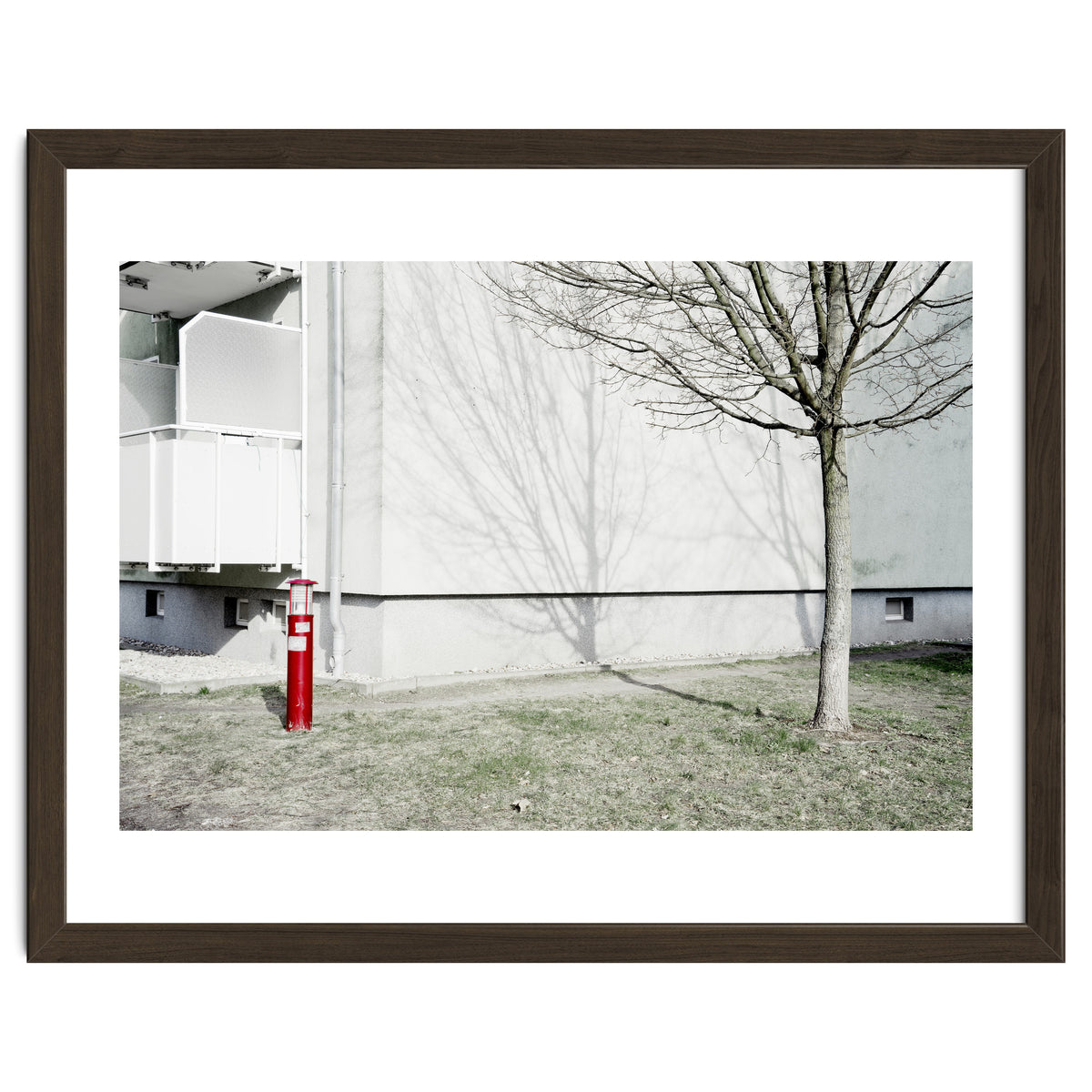Red light pole and Tree shadow on the wall