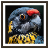 Close-up Portrait of a Vibrant Parrot thumbnail