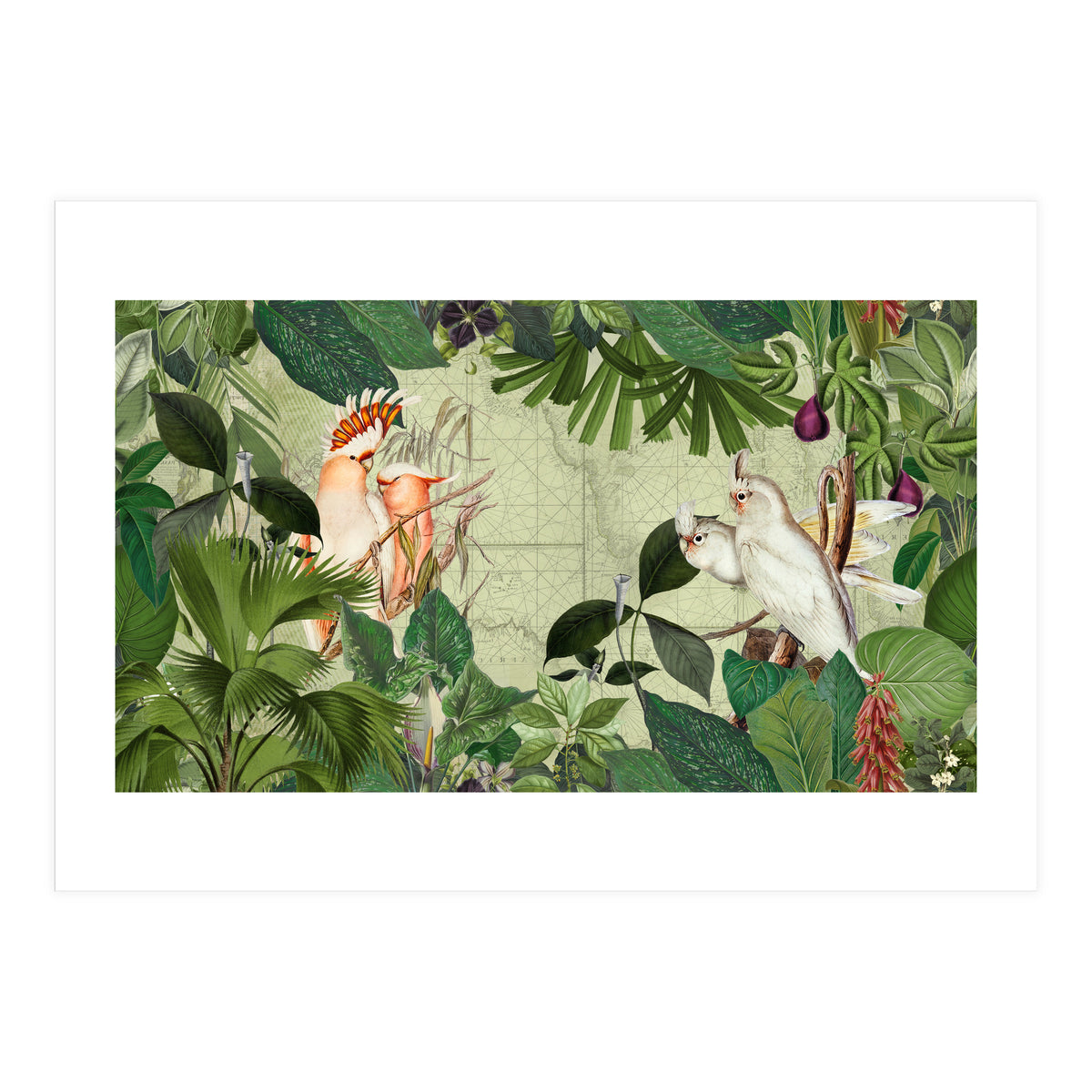 Cockatoo Island Green (Print Only)