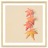 Maple In Pastel thumbnail