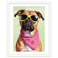 Cool Dog with Sunglasses – Funky Bandana