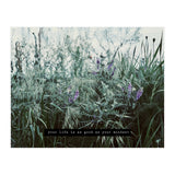 Photography - Summer Garden (Print Only) thumbnail