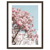 Spring Time