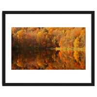 Autumn Reflections