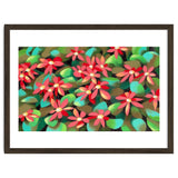 Red flowers thumbnail