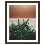 Plant + Copper thumbnail