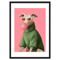 Bubblegum Pup