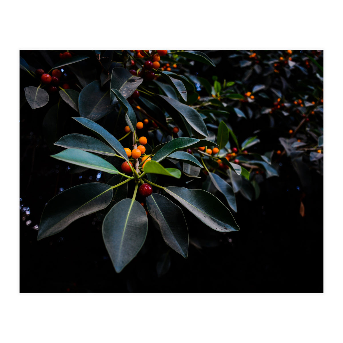 Orange, Green and Dark (Print Only)