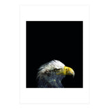 What It A Dream (Print Only) thumbnail