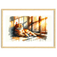 Cat Relaxing In Sunlight