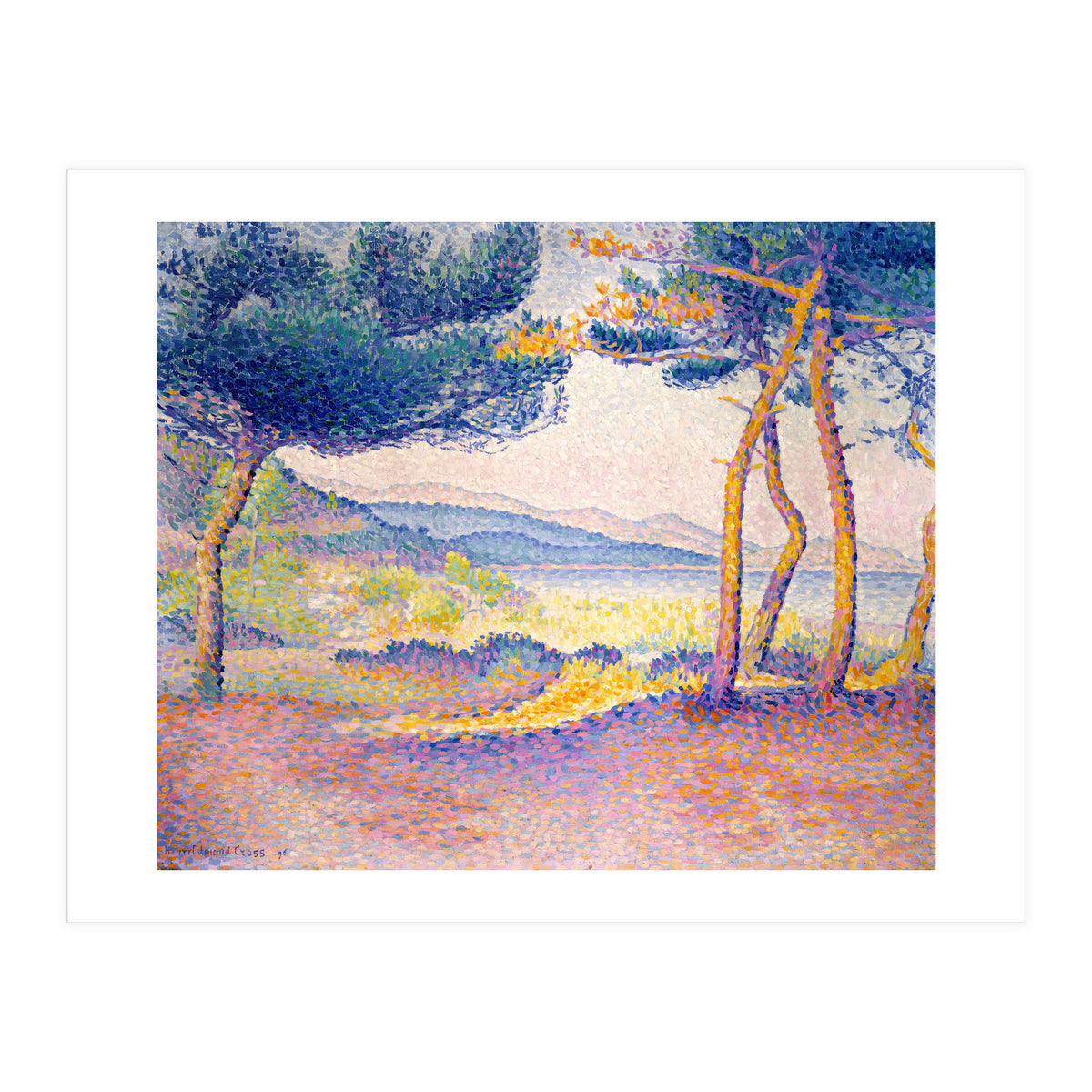 Pines Along the Shore. (Print Only)