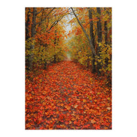 Lush Autumn Forest Path Covered (Print Only)