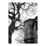 Stark Contrast (Print Only) thumbnail