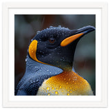 King Penguin Standing In Rain With Water Drops Nature Photography thumbnail