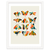 Colorful Butterflies thumbnail