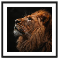 Majestic Lion Portrait Profile Majestic Beast