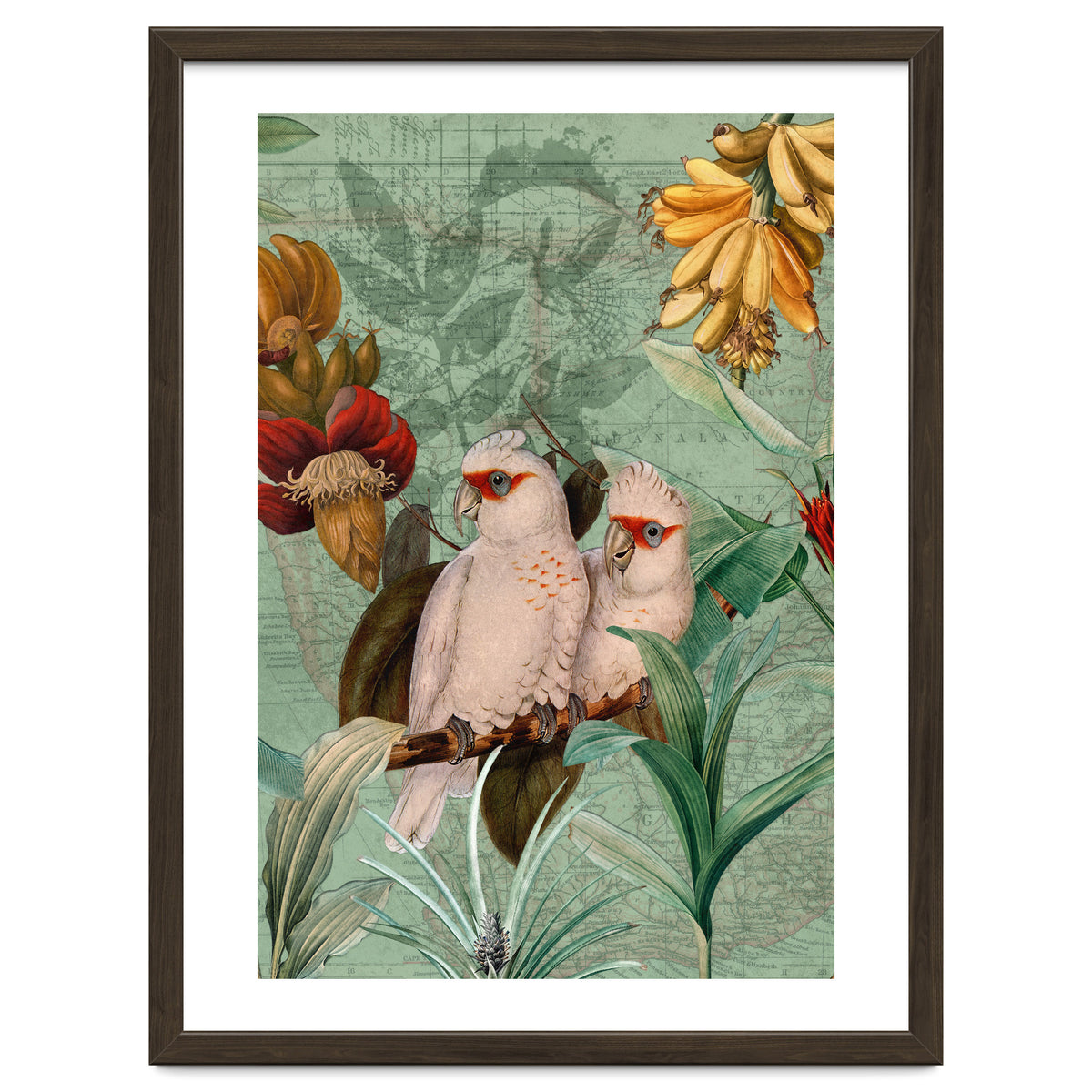 Green Cockatoo Exotic Bird Jungle