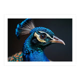 Close Up Peacock Head Blue Green Feather  (Print Only) thumbnail