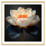 Lotus Cultivar | Midnight Skirt thumbnail