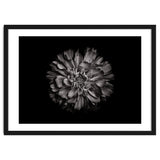 Backyard Flowers In Black And White No 79 thumbnail