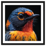 Vibrant Bird With Orange And Blue Plumage thumbnail