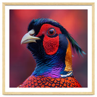 Close Up Pheasant Bird Head Detailed Feathers