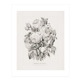 Currier & Ives – Rose of May (1870) (Print Only) thumbnail