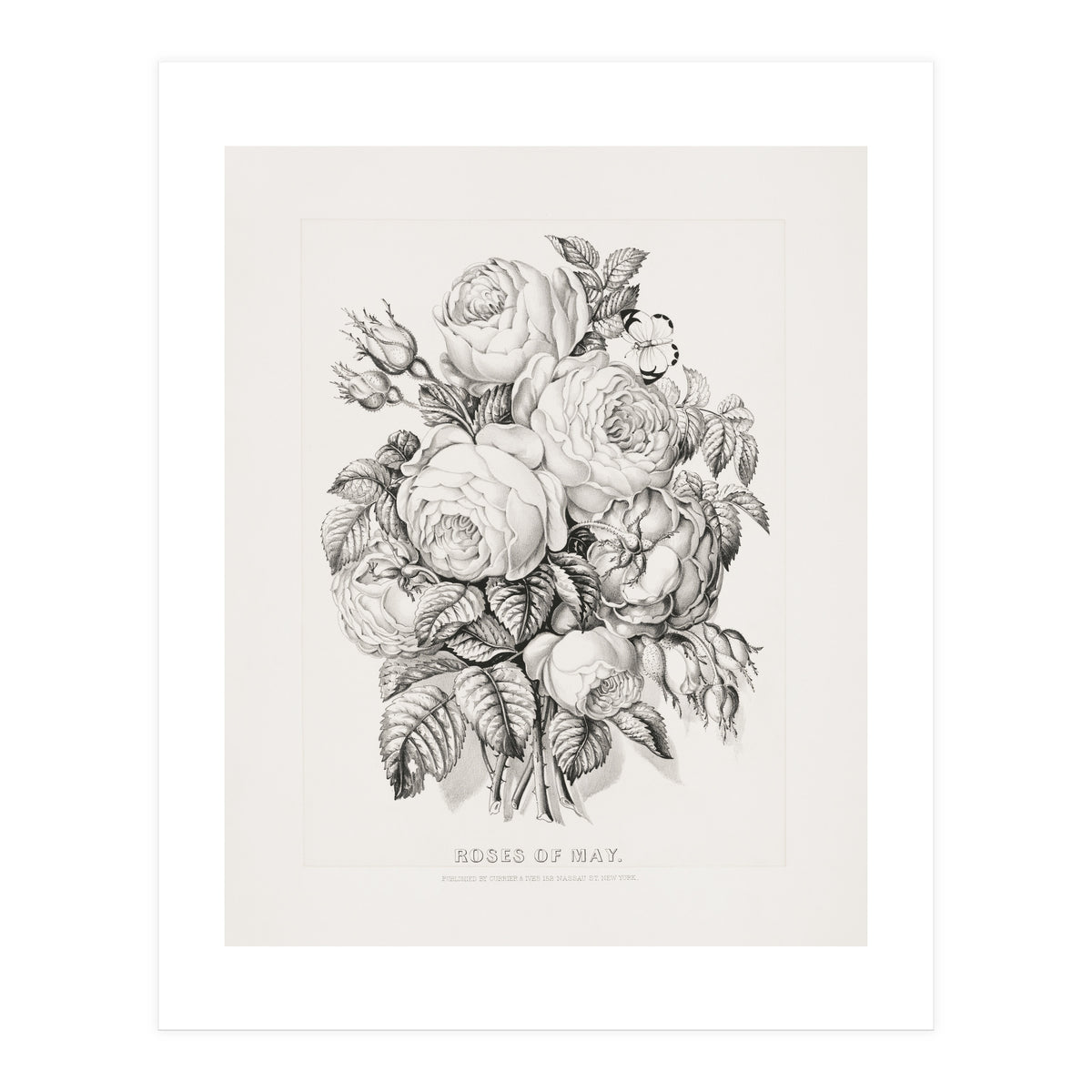 Currier & Ives – Rose of May (1870) (Print Only)