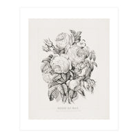 Currier & Ives – Rose of May (1870) (Print Only)