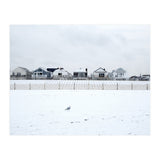 A seagull and snow covered houses (Print Only) thumbnail