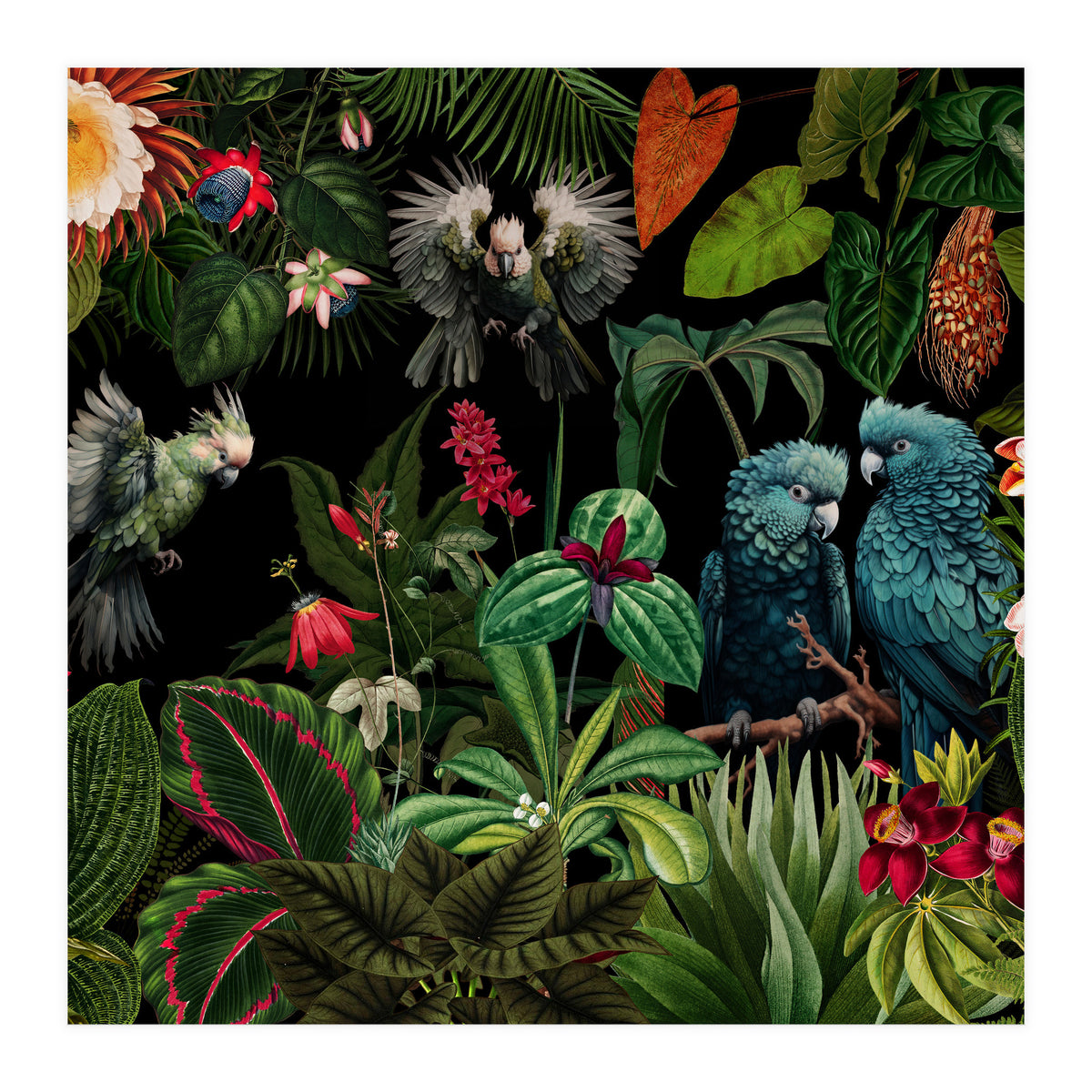 Moody Botanical Midnight Jungle Birds (Print Only)