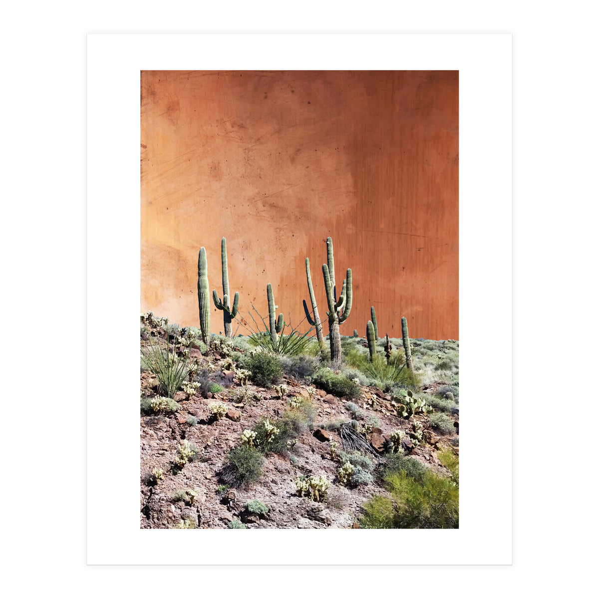 Rustic (Print Only)