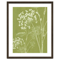 Wildflowers III