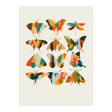 Colorful Butterflies (Print Only) thumbnail